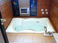 338�����o�X���[��