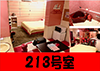 213号室